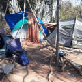 Addressing Affordable Housing and Homelessness in Hall County, Georgia: An Expert's Perspective