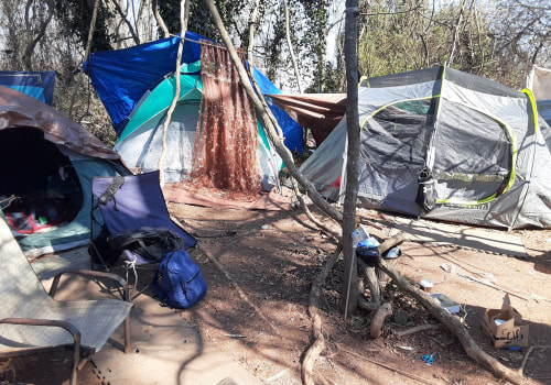 Addressing Affordable Housing and Homelessness in Hall County, Georgia: An Expert's Perspective